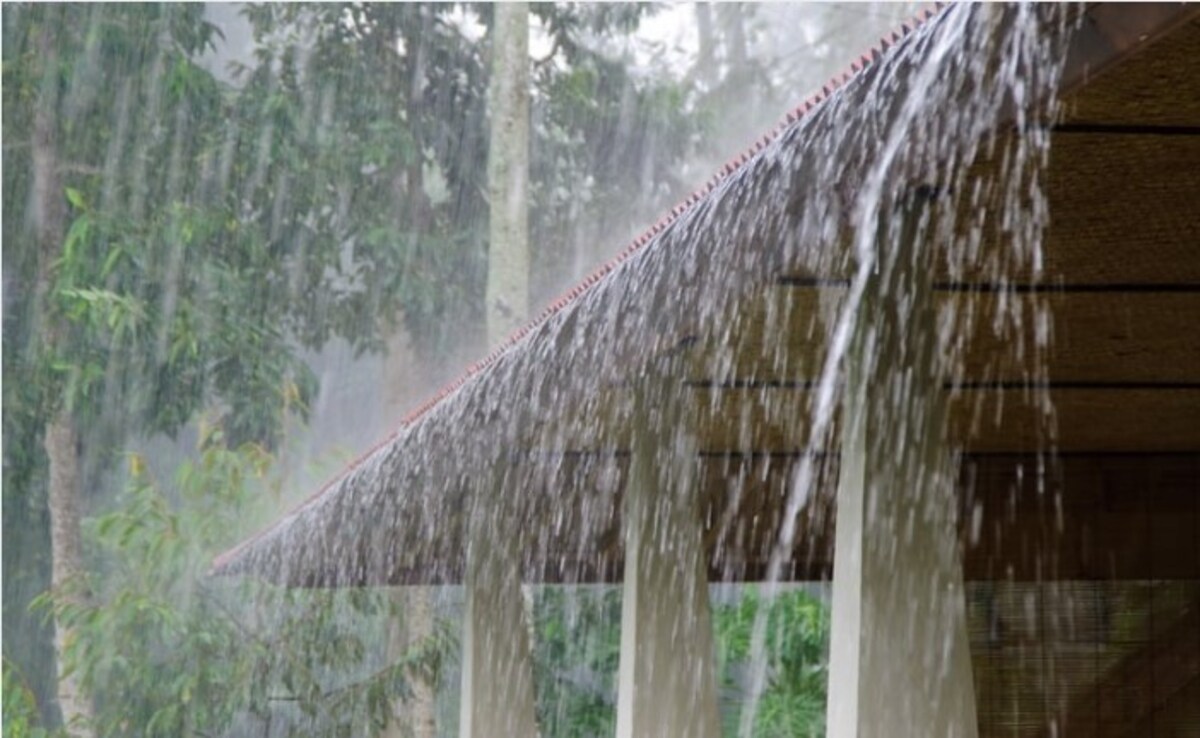 Latest and Breaking News on NDTV Latest and Breaking News on NDTV