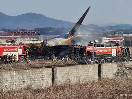 Bird Activity Alert To 'Mayday' Call: Final Moments Before South Korea Plane Crash Bird Activity Alert To 'Mayday' Call: Final Moments Before South Korea Plane Crash