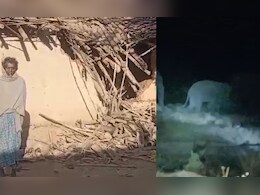CG: जशपुर में हाथियों का आतंक, मकानों की दीवारों को तोड़ा और अंदर घुस चट कर दिया अनाज
