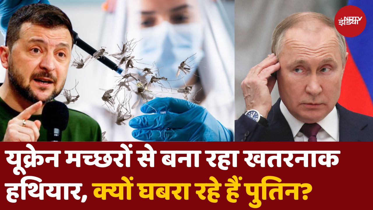 क्या यूक्रेन मच्छरों से बना रहा था जैविक हथियार?