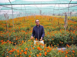 Farming Video: अपने खेतों में पहुंचे केंद्रीय कृषि मंत्री, जानिए कौन-कौन सी फसलों का कर रहे हैं उत्पादन Farming Video: अपने खेतों में पहुंचे केंद्रीय कृषि मंत्री, जानिए कौन-कौन सी फसलों का कर रहे हैं उत्पादन