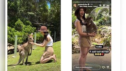 Feed Kangaroos, Pose With Koalas At Australia's Currumbin Wildlife Sanctuary Like Sara Tendulkar