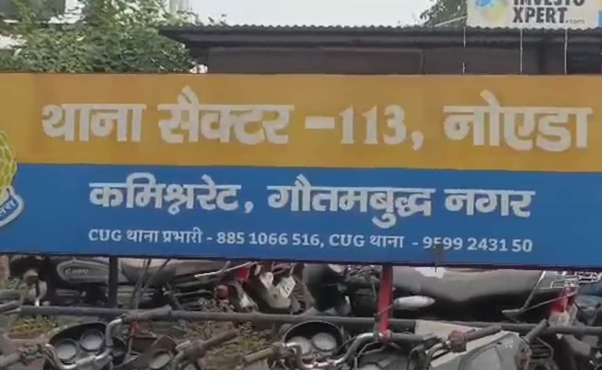 "Live-In Partner's Taunts...": Unemployed Engineer Dies By Suicide In Noida