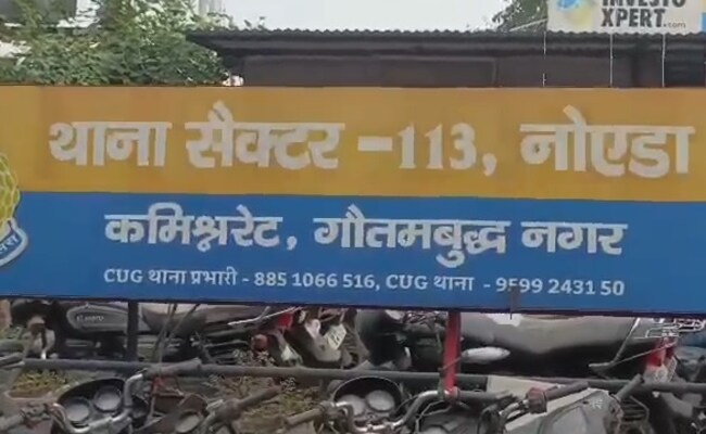 'Live-In Partner's Taunts...': Unemployed Engineer Dies By Suicide In Noida