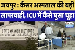 State Cancer Institute Jaipur : कैंसर अस्पताल की बड़ी लापरवाही, ICU में कैसे घुसा चूहा State Cancer Institute Jaipur : कैंसर अस्पताल की बड़ी लापरवाही, ICU में कैसे घुसा चूहा