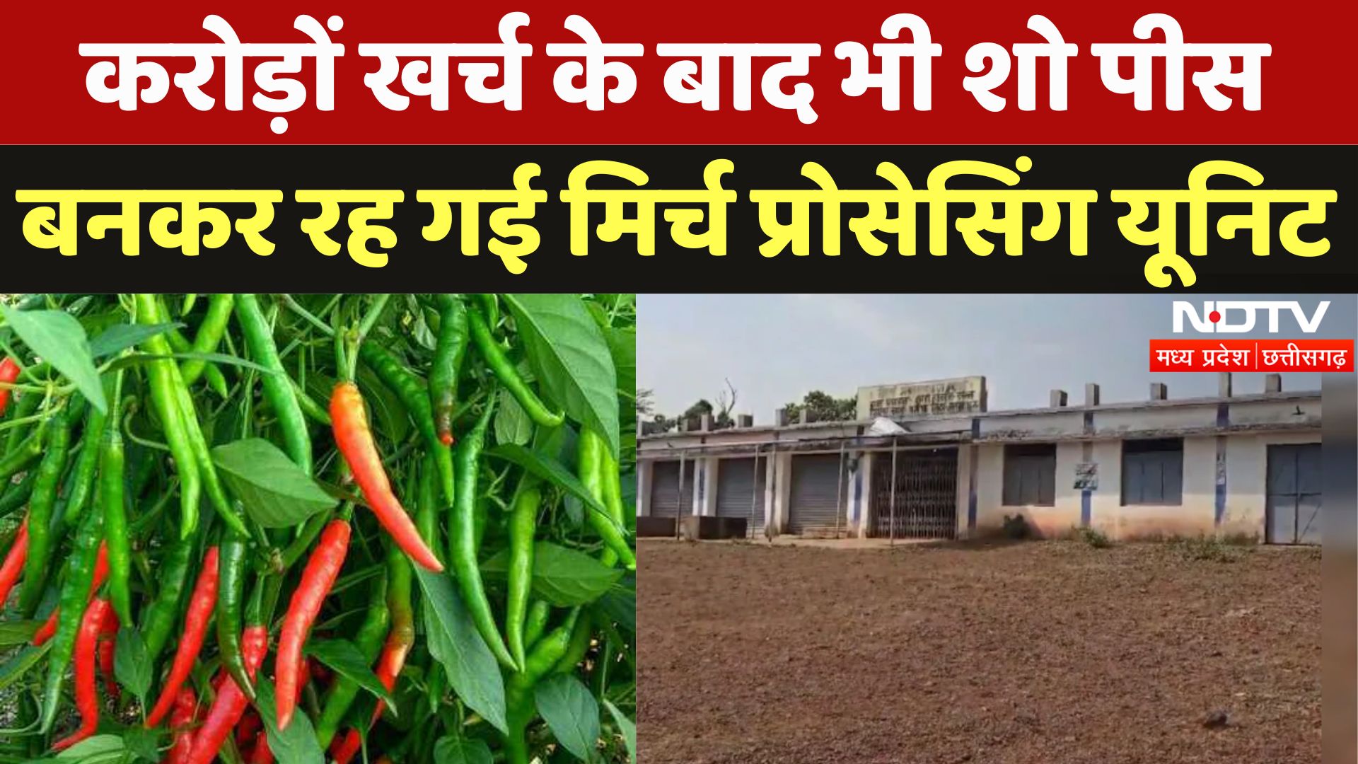 Jashpur: करोड़ों खर्च के बाद भी शो पीस बनकर रह गई मिर्च प्रोसेसिंग यूनिट