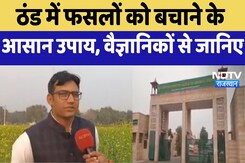 Jodhpur News : ठंड में फसलों को बचाने के आसान उपाय, वैज्ञानिकों से जानिए Jodhpur News : ठंड में फसलों को बचाने के आसान उपाय, वैज्ञानिकों से जानिए