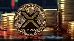 Ripple's XRP Surges 40% After Trump Win, But It May Crash Soon