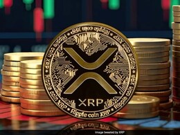 Ripple's XRP Surges 40% After Trump Win, But It May Crash Soon
