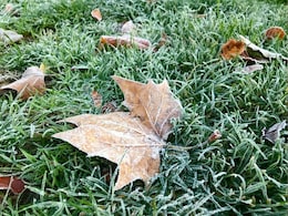 MP Weather: कड़ाके की ठंड से राहत, दिन के तापमान में बढ़ोत्तरी, जानिए कैसा रहेगा आज मध्य प्रदेश का मौसम MP Weather: कड़ाके की ठंड से राहत, दिन के तापमान में बढ़ोत्तरी, जानिए कैसा रहेगा आज मध्य प्रदेश का मौसम