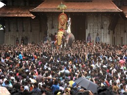 Supreme Court Stays Kerala High Court Order On Elephants In Temple Festivals Supreme Court Stays Kerala High Court Order On Elephants In Temple Festivals