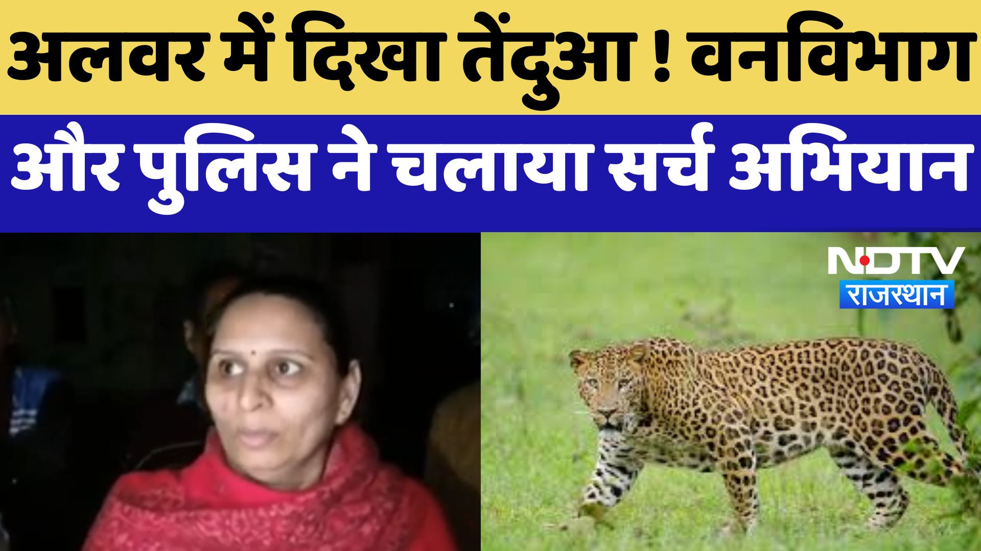 Alwar में दिखा तेंदुआ ! Forest Department और Police ने चलाया सर्च अभियान