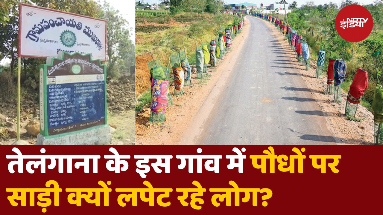 तेलंगाना के इस गांव में पौधों पर साड़ी क्यों लपेट रहे लोग?