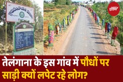 तेलंगाना के इस गांव में पौधों पर साड़ी क्यों लपेट रहे लोग? तेलंगाना के इस गांव में पौधों पर साड़ी क्यों लपेट रहे लोग?