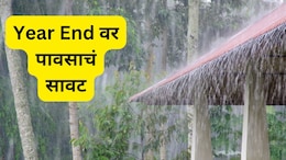 Rain Update : Year End वर पावसाचं सावट, या जिल्ह्यांना अलर्ट; शेतकऱ्यांना नियोजन करण्याचं आवाहन
