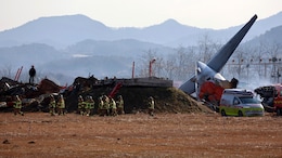 Bird Hit, Gear Glitch, Belly Landing: Chain Of Events In South Korea Crash