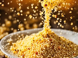 एक्सपर्ट ने बताया कोदो मिलेट डाइट में लेना कर दीजिए शुरू, वेट लॉस से लेकर डायबिटीज में मिलेगी मदद एक्सपर्ट ने बताया कोदो मिलेट डाइट में लेना कर दीजिए शुरू, वेट लॉस से लेकर डायबिटीज में मिलेगी मदद