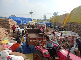 Korea: एक मिलर्स के साथ अनुबंध होने से धीमा हो रहा उठाव, हजारों क्विंटल धान जाम  