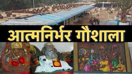New Year: मंदसौर में 500 से अधिक गोवंशों की रक्षा कर रहा आत्मनिर्भर गौशाला, मल-मूत्र से बनाई जाती हैं सुंदर चीजें...