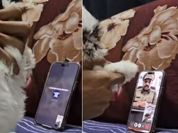 पुलिस ऑफिसर बन स्कैमर ने किया कॉल, सामने वाले ने किया कुछ ऐसा, Video कॉल काटकर भागा जालसाज पुलिस ऑफिसर बन स्कैमर ने किया कॉल, सामने वाले ने किया कुछ ऐसा, Video कॉल काटकर भागा जालसाज