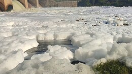 Sea Of Toxic Foam In Tamil Nadu's Hosur After Dam Discharges Surplus Water