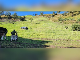 मणिपुर में बंदूकधारियों ने बिहार के दो प्रवासी श्रमिकों की गोली मारकर हत्या की