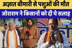 Jaisalmer News: अज्ञात बीमारी से पशुओं की मौत Joraram Kumawat ने किसानों को दी ये सलाह | Latest Jaisalmer News: अज्ञात बीमारी से पशुओं की मौत Joraram Kumawat ने किसानों को दी ये सलाह | Latest