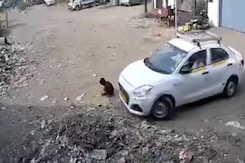 Car Runs Over Crouching 6-Year-Old Near Mumbai, Child Survives Car Runs Over Crouching 6-Year-Old Near Mumbai, Child Survives