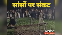 गुना में बोरिंग के खुले गड्ढे में गिरा मासूम बच्चा, रेस्क्यू जारी,&nbsp;पिपल्या गांव का मामला