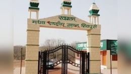 Tiger Reserve: एमपी को मिला एक और टाइगर रिजर्व का तोहफा, माधव नेशनल पार्क बना 8वां बाघ अभयारण्य