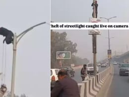 दिन के उजाले में खंभे पर चढ़कर हाईवे से लाइट चुराने की फिराक में था शख्स, तभी... दिन के उजाले में खंभे पर चढ़कर हाईवे से लाइट चुराने की फिराक में था शख्स, तभी...