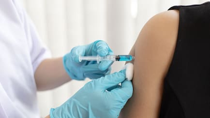 Within How Many Hours Should You Get A Rabies Vaccine After A Dog Bite?