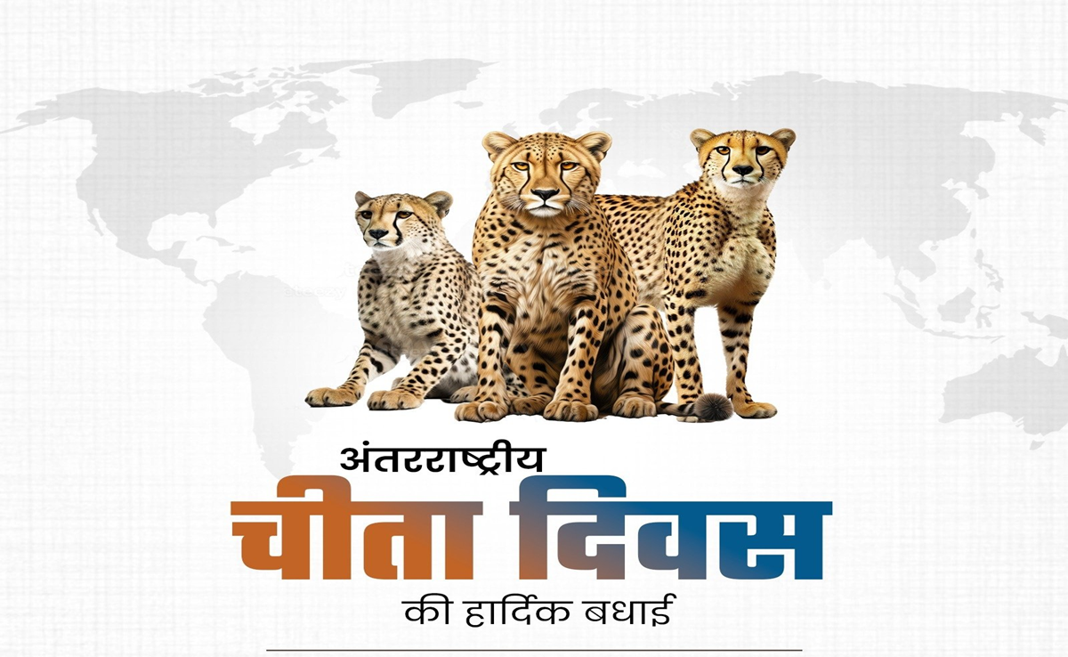 International Cheetah Day 2024: चीता स्टेट बनकर MP ने स्थापित किया नया बेंचमार्क, लिखा नया इतिहास