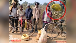 Satna : मछली की आड़ में तस्करी ! साइकिल से बोरियों में लेकर जा रहे थे ये चीज, अरेस्ट