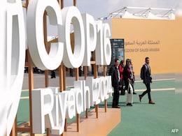 At COP16, Saudi Arabia Bets On Climate Tech To Make Deserts Bloom At COP16, Saudi Arabia Bets On Climate Tech To Make Deserts Bloom