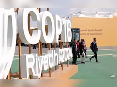 COP16 Report Warns Over 75% Of Global Land 'Permanently Drier'