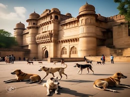 Dog Bite: पागल कुत्ते ने जिस भैंस को काटा, उसका दूध पीने वालों में हड़कंप, जानिए डॉक्टर्स ने क्या कहा? Dog Bite: पागल कुत्ते ने जिस भैंस को काटा, उसका दूध पीने वालों में हड़कंप, जानिए डॉक्टर्स ने क्या कहा?