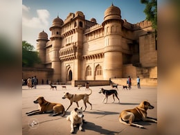 कुत्तों का आतंक: 10 माह में 60 हजार लोगों को काटा, दो करोड़ से ज्यादा खर्च, फिर भी नसबंदी रही नाकाम