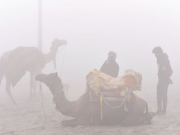 Rajasthan Weather: राजस्थान के सीकर में माइनस 0.2 डिग्री सेल्सियस पहुंचा पारा, 10 जिलों में शीतलहर का अलर्ट  Rajasthan Weather: राजस्थान के सीकर में माइनस 0.2 डिग्री सेल्सियस पहुंचा पारा, 10 जिलों में शीतलहर का अलर्ट