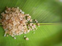 Is Gond Katira Good for Your Bones? What Experts Really Say