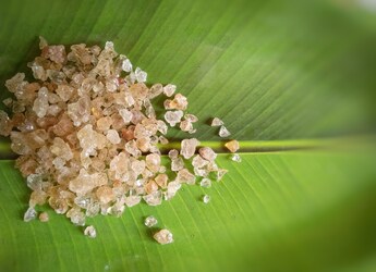 Is Gond Katira Good for Your Bones? What Experts Really Say Is Gond Katira Good for Your Bones? What Experts Really Say