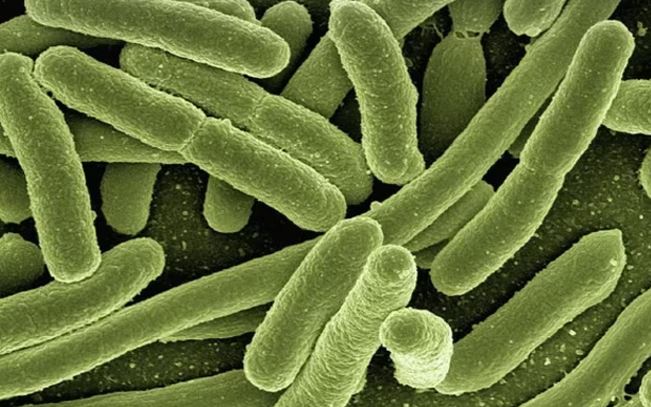 Clean and disinfect surfaces that may have come into contact with body fluids