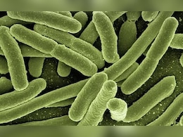 What Is "Bleeding Eye" Virus That Has Killed 15 In Rwanda So Far