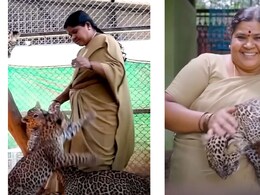 तेंदुए और शेर के बच्चों को मां का प्यार देती हैं सावित्री अम्मा, 22 साल से इस बायोलॉजिकल पार्क में कर रहीं सेवा तेंदुए और शेर के बच्चों को मां का प्यार देती हैं सावित्री अम्मा, 22 साल से इस बायोलॉजिकल पार्क में कर रहीं सेवा