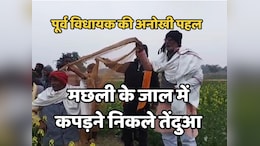 Leopard News : जिस तेंदुए को वन विभाग नहीं पकड़ पाया, उसे मामूली जाल से पकड़ने निकले हैं पूर्व विधायक द्विवेदी