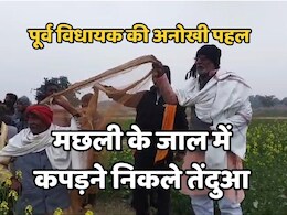 Leopard News : जिस तेंदुए को वन विभाग नहीं पकड़ पाया, उसे मामूली जाल से पकड़ने निकले हैं पूर्व विधायक द्विवेदी Leopard News : जिस तेंदुए को वन विभाग नहीं पकड़ पाया, उसे मामूली जाल से पकड़ने निकले हैं पूर्व विधायक द्विवेदी
