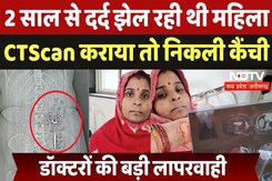Bhind News:डॉक्टर्स ने ऑपरेशन के दौरान महिला के पेट में छोड़ी कैंची, CTScan देख दंग रह जाएंगे आप Bhind News:डॉक्टर्स ने ऑपरेशन के दौरान महिला के पेट में छोड़ी कैंची, CTScan देख दंग रह जाएंगे आप