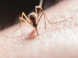 How Do Mosquito Repellents Work? Chemistry Expert Explains How Do Mosquito Repellents Work? Chemistry Expert Explains