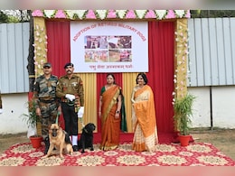 Retired Indian Army Dogs Get New Lease Of Life In Schools, Homes Retired Indian Army Dogs Get New Lease Of Life In Schools, Homes