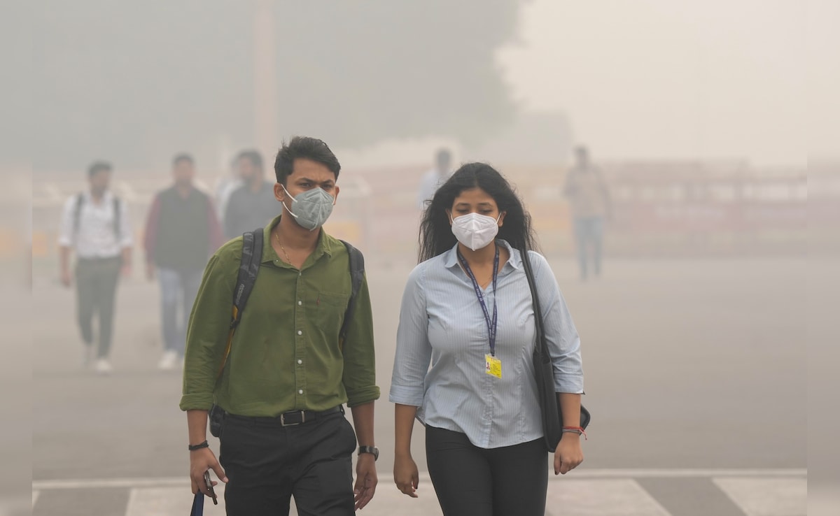1.5 Million Deaths Between 2009-2019 Linked To Air Pollution In India: Report 1.5 Million Deaths Between 2009-2019 Linked To Air Pollution In India: Report